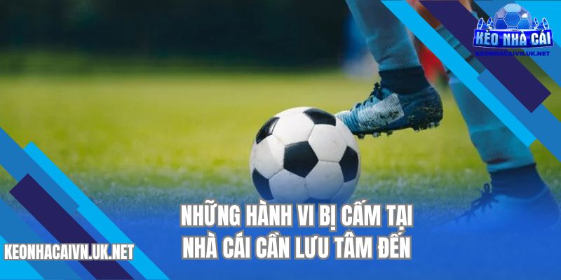 Những hành vi bị cấm tại nhà cái cần lưu tâm đến