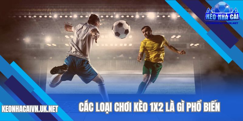 Một số loại cá cược kèo 1x2 là gì xu hướng trên thị trường