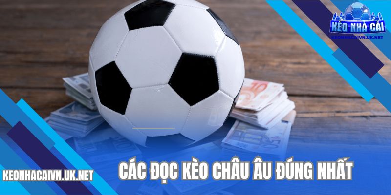 Học cách đọc kèo chuẩn không cần chỉnh từ cao thủ