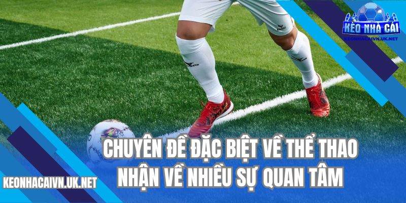Chuyên đề đặc biệt về thể thao nhận về nhiều sự quan tâm