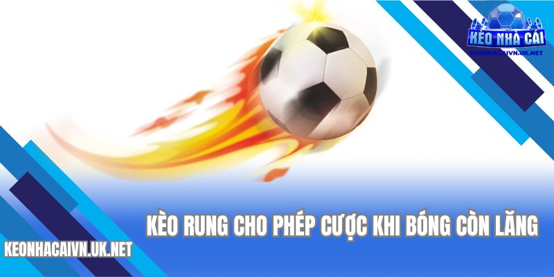 Định nghĩa kèo rung là gì đơn giản nhưng không phải ai cũng hiểu