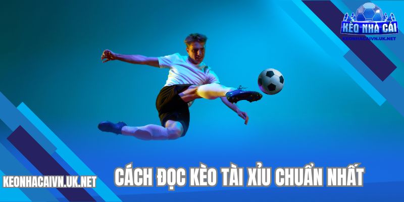 Chia sẻ hướng dẫn cách soi kèo tài xỉu chuẩn