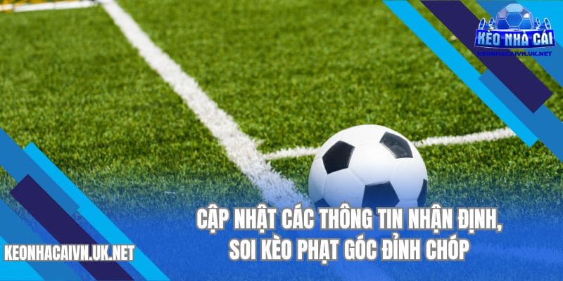 Cập nhật các thông tin nhận định, soi kèo phạt góc đỉnh chóp 