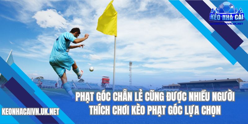 Phạt góc chẵn lẻ cũng được nhiều người thích chơi kèo phạt góc lựa chọn