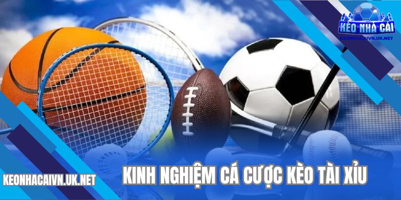Kinh nghiệm cá cược dễ dàng nhất từ chuyên gia trong ngành