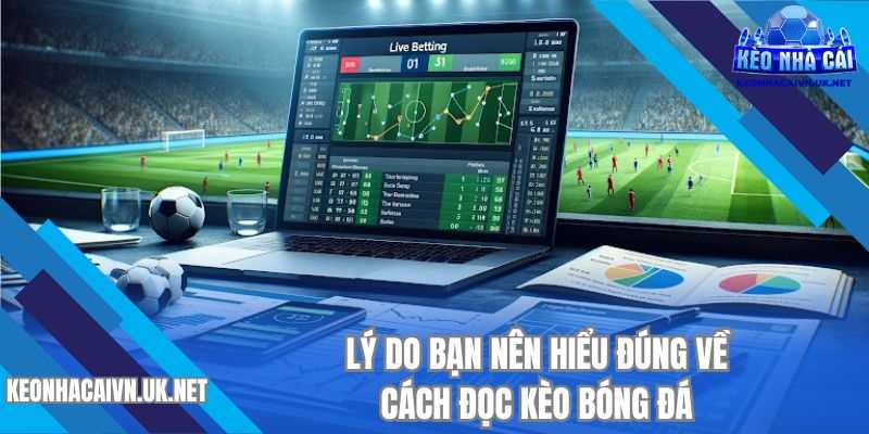 Lý do bạn nên hiểu đúng về cách đọc kèo bóng đá