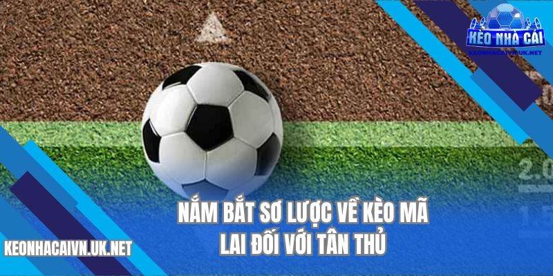 Nắm bắt sơ lược về kèo Mã Lai đối với tân thủ