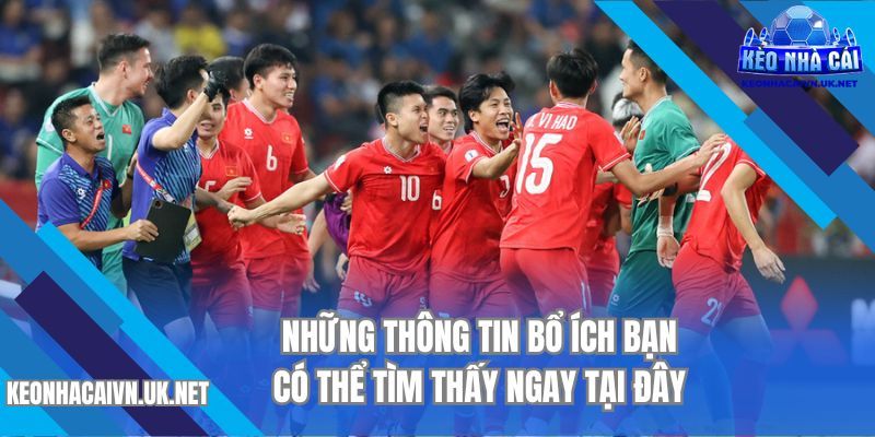 Những thông tin bổ ích bạn có thể tìm thấy ngay tại đây
