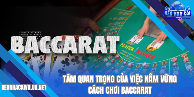 Tầm quan trọng của việc nắm vững cách chơi baccarat