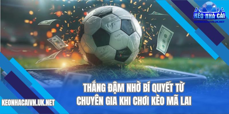 Thắng đậm nhờ bí quyết từ chuyên gia khi chơi kèo Mã Lai