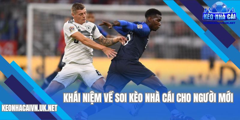 Tìm hiểu về thuật ngữ được áp dụng trong cá cược thể thao